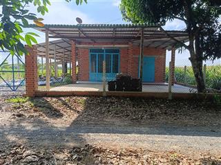 Cần bán nhà vườn tại tra sim ninh điền châu thành 2,3 hecta có 400 thổ cư và nhà giá 3 tỷ 820 triệu