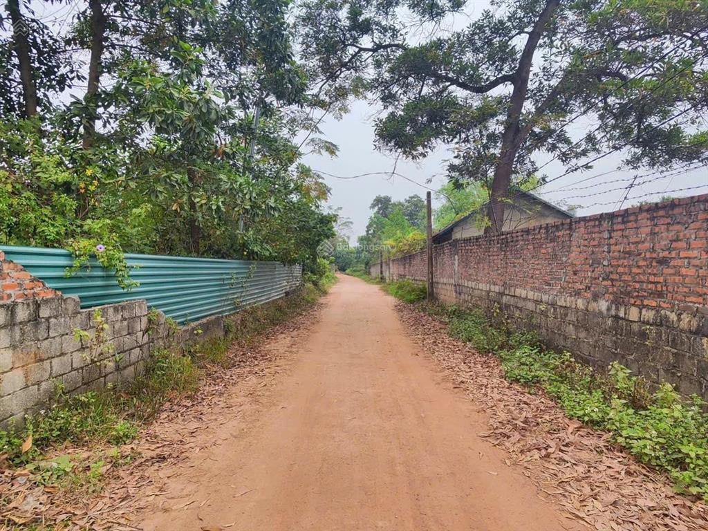 Bán 2,900m2 đất thôn hữu thủ, xã tam dương, cách trường chuyên vĩnh phúc chỉ 700m