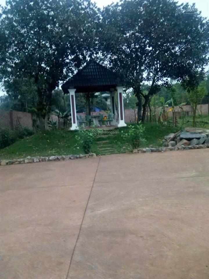 Bán 2,900m2 đất thôn hữu thủ, xã tam dương, cách trường chuyên vĩnh phúc chỉ 700m