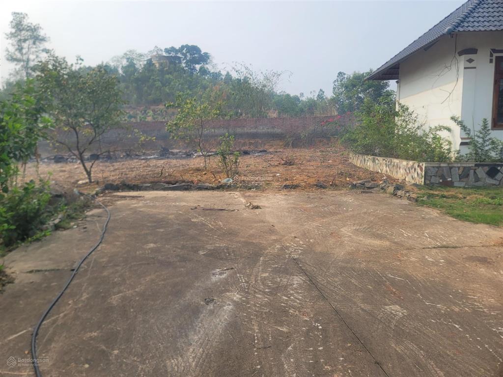 Bán 2,900m2 đất thôn hữu thủ, xã tam dương, cách trường chuyên vĩnh phúc chỉ 700m