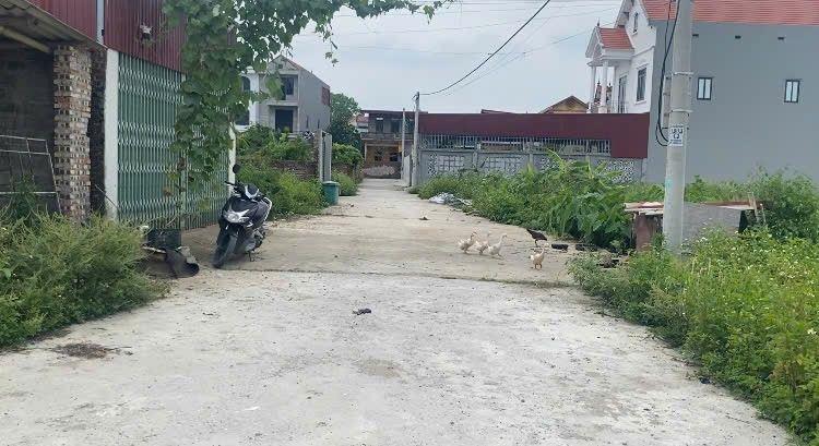 Cần bán mảnh đất tại An Bình,tỉnh bắc ninh