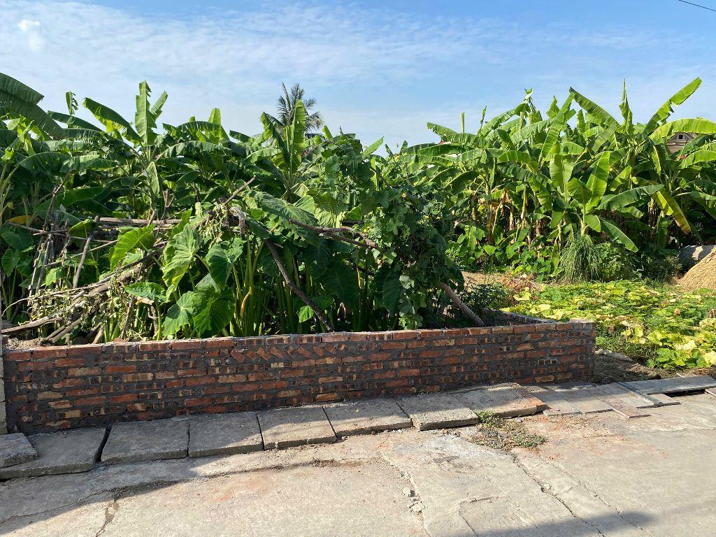 Cần Bán Mảnh đất tại Lai Hạ ,Lương Tài,bắc ninh:dt 110m²