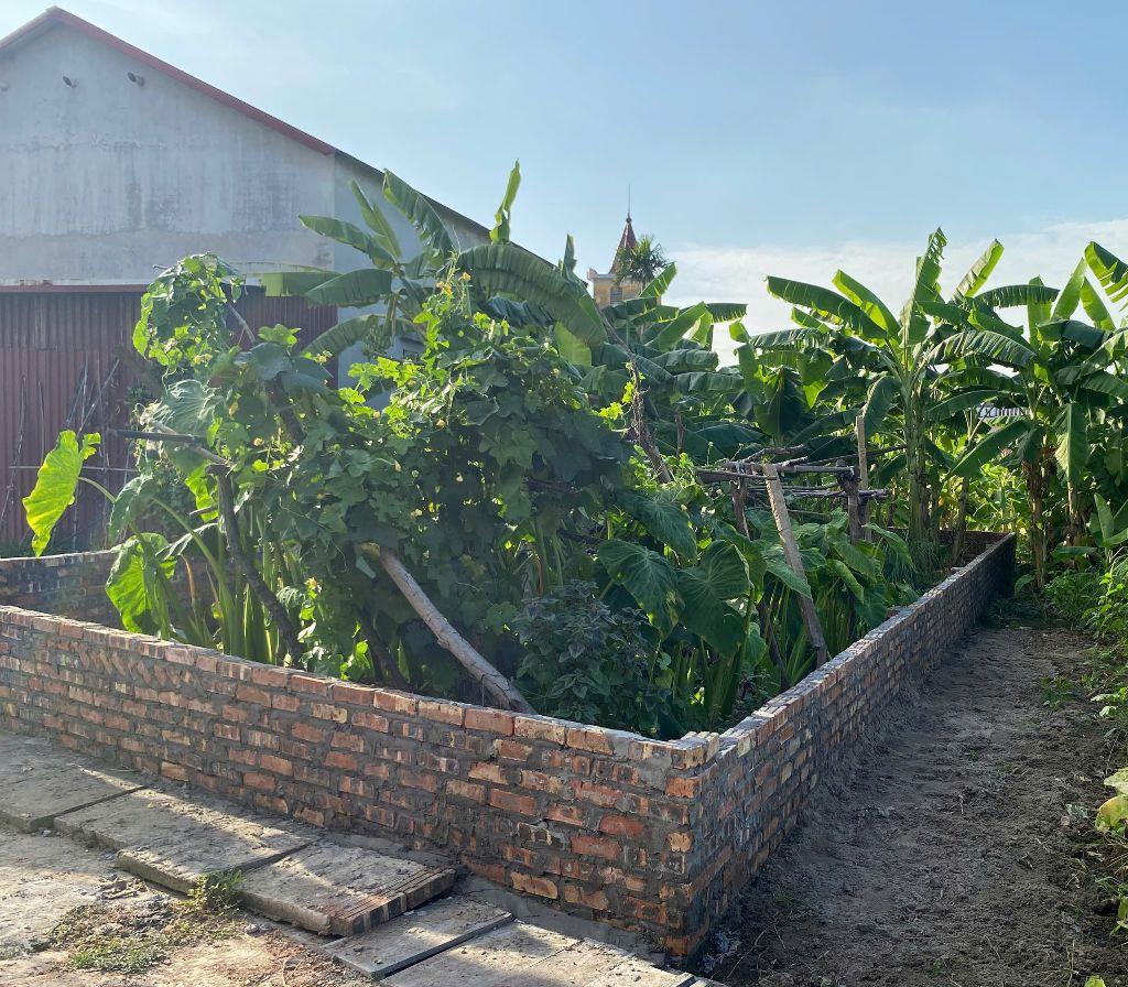 Cần Bán Mảnh đất tại Lai Hạ ,Lương Tài,bắc ninh:dt 110m²