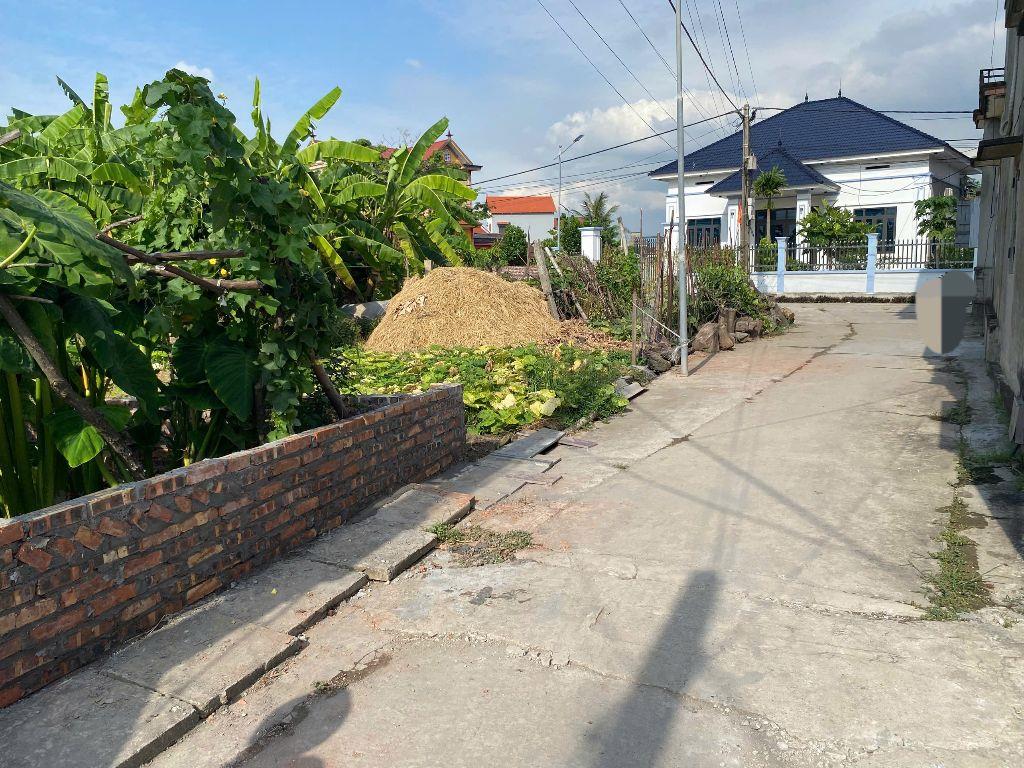 Cần Bán Mảnh đất tại Lai Hạ ,Lương Tài,bắc ninh:dt 110m²