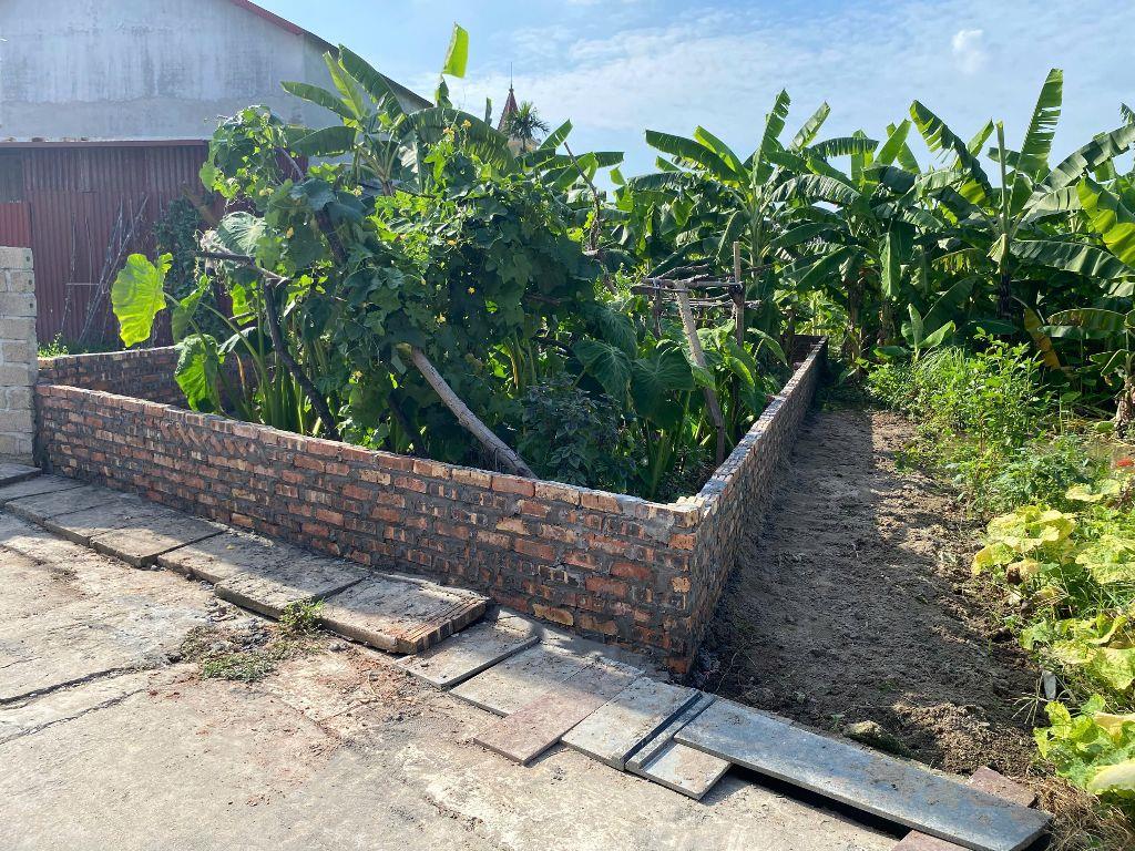 Cần Bán Mảnh đất tại Lai Hạ ,Lương Tài,bắc ninh:dt 110m²