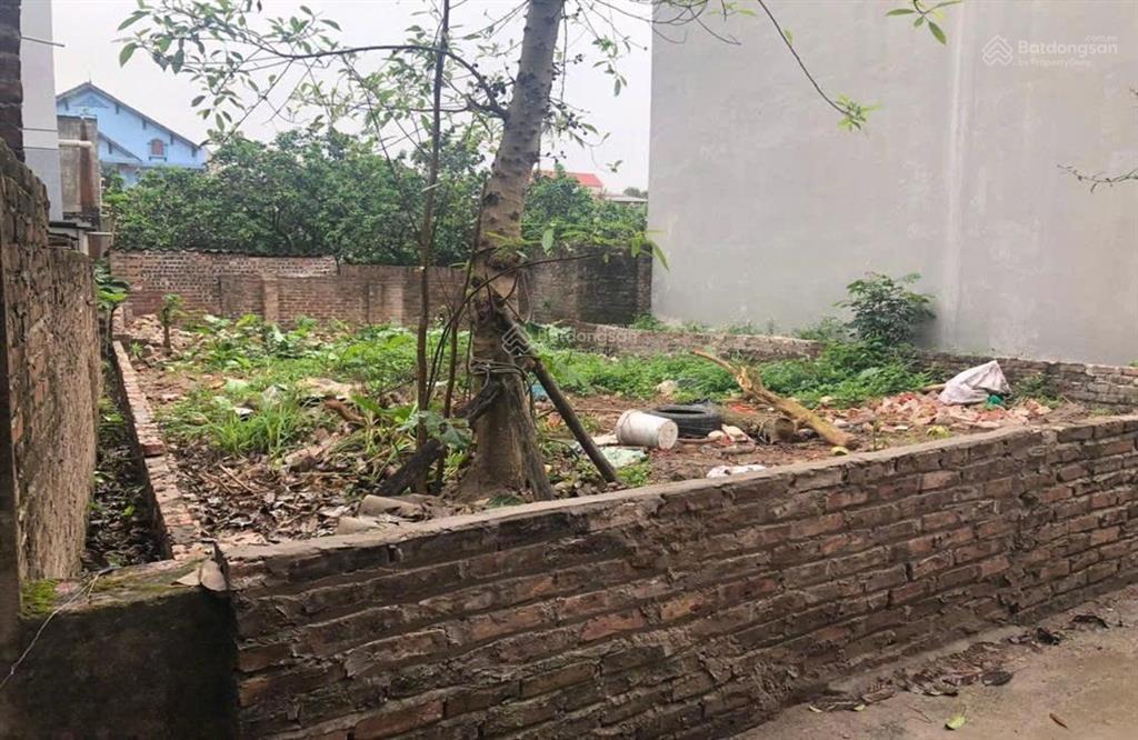 Bán nhanh! full thổ cư tại lực canh, xuân canh, đông anh 91.5m2 chỉ 98tr/m2,  a hà 0915 137 ***