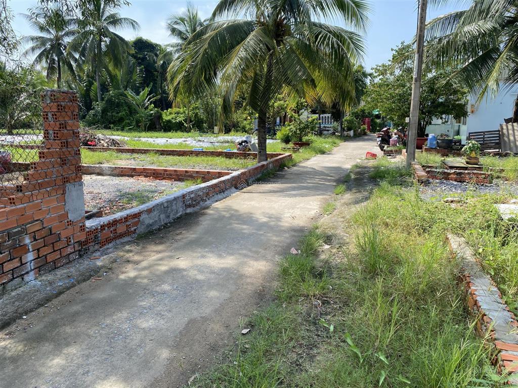 Bán đất đường tân long,xã tân nhựt, bình chánh, tphcmsổ hồng riêng đất ở nông thôn pháp lý rõ ràng