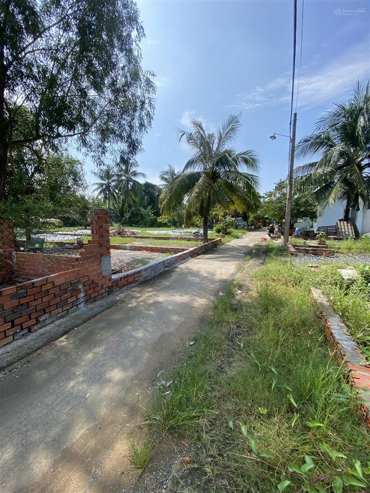 Bán đất đường tân long,xã tân nhựt, bình chánh, tphcmsổ hồng riêng đất ở nông thôn pháp lý rõ ràng