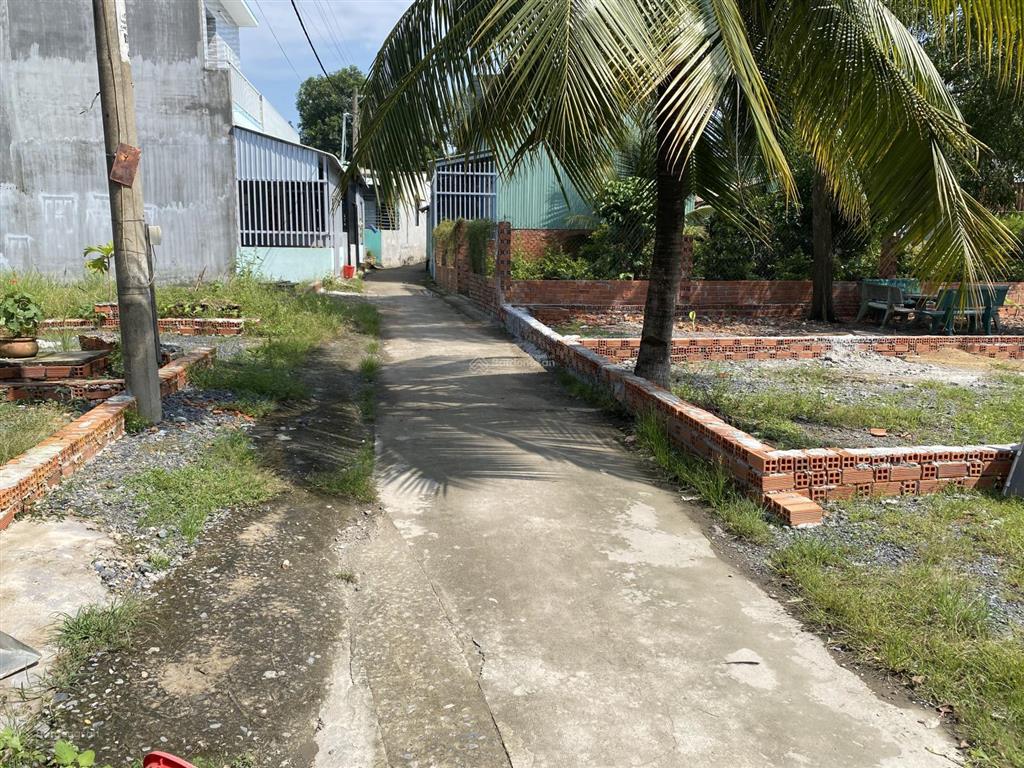 Bán đất đường tân long,xã tân nhựt, bình chánh, tphcmsổ hồng riêng đất ở nông thôn pháp lý rõ ràng