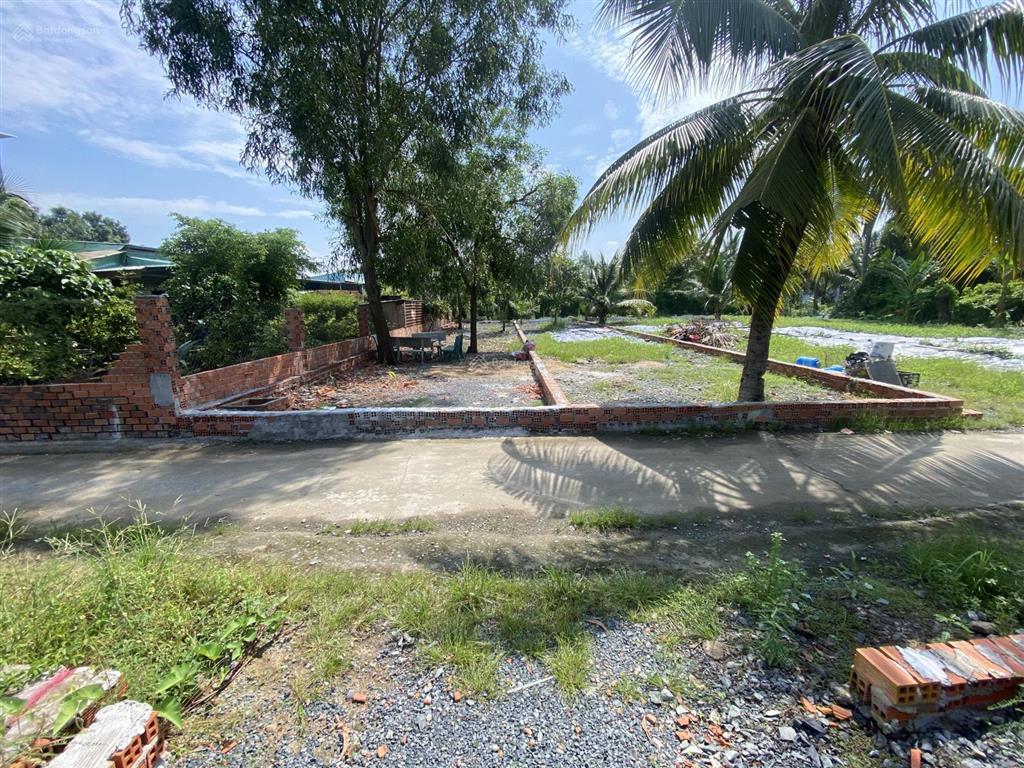 Bán đất đường tân long,xã tân nhựt, bình chánh, tphcmsổ hồng riêng đất ở nông thôn pháp lý rõ ràng