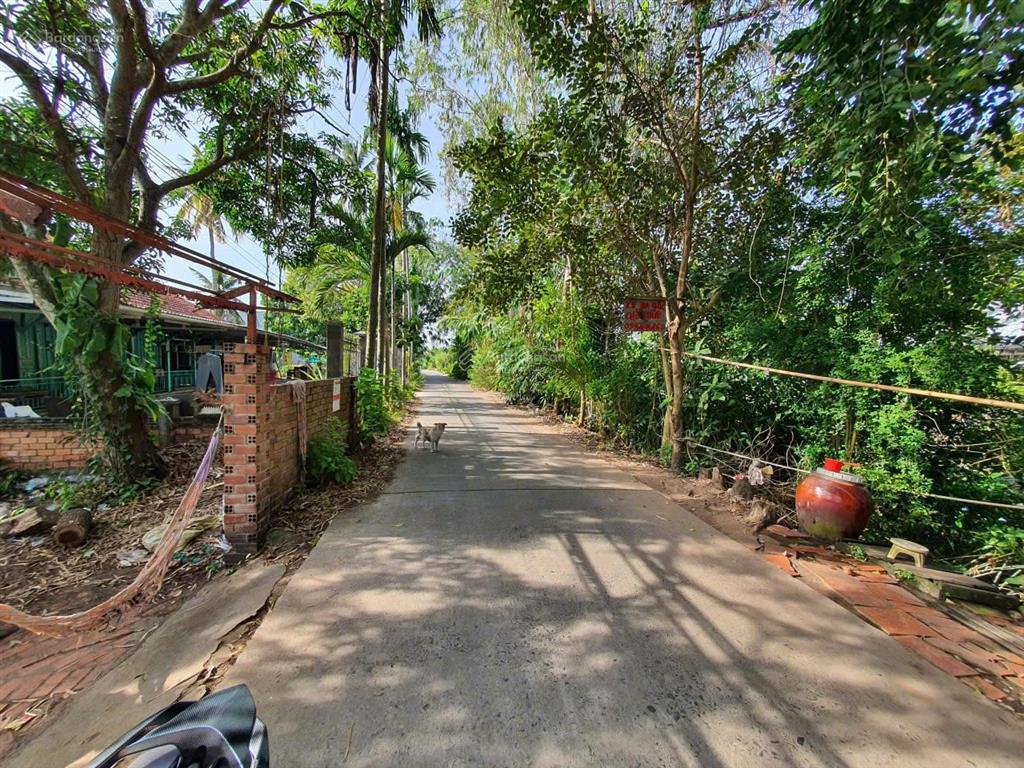 Bán đất mặt tiền đường chính mỹ hòa hưng  848m²  ngang 10m  chỉ 3,5 tỷ