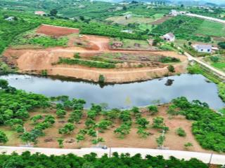 1.000m2 đất view hồ nam ban  ven đà lạt sẵn thổ cư 150m2 chỉ 1tỷ650 (lđ11), sẵn vườn cây ăn trái