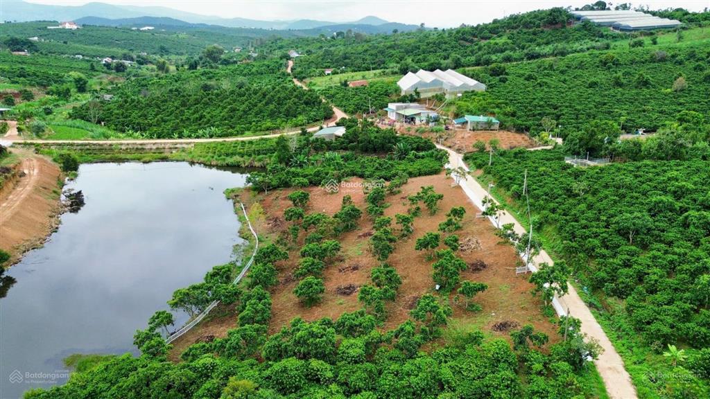 1.000m2 đất view hồ nam ban  ven đà lạt sẵn thổ cư 150m2 chỉ 1 tỷ 650 (lđ11), sẵn vườn cây ăn trái