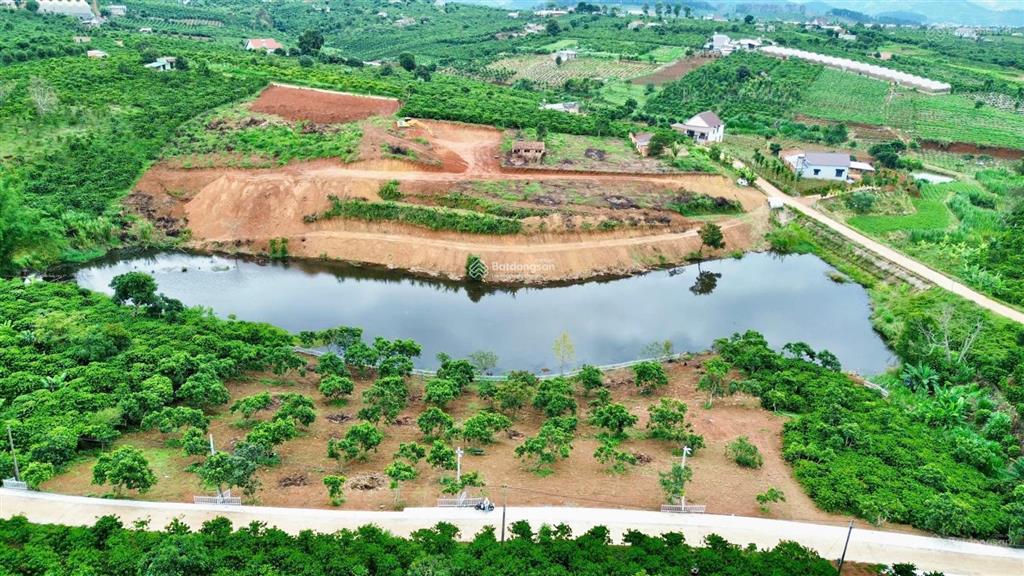 1.000m2 đất view hồ nam ban  ven đà lạt sẵn thổ cư 150m2 chỉ 1 tỷ 650 (lđ11), sẵn vườn cây ăn trái