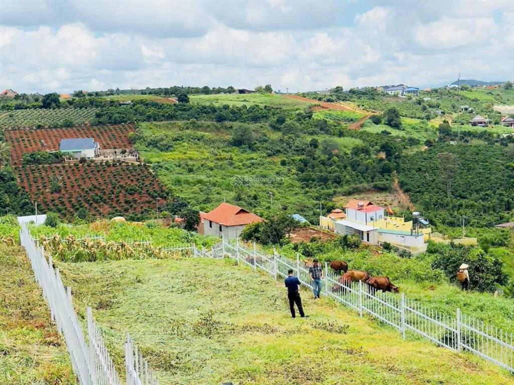 527m2 đất nghỉ dưỡng ven đà lạt, khu bãi côngnam ban, chỉ 888tr, đường lớn xe ô tô đi đến đất, shr