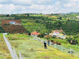 527m2 đất nghỉ dưỡng ven đà lạt, khu bãi côngnam ban, chỉ 888tr, đường lớn xe oto đi đến đất, shr