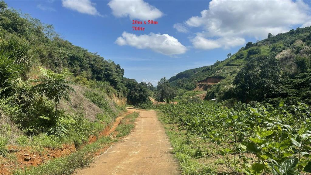 1.000m2 đất mê linh  lâm hà  ven đà lạt chỉ 700tr full giá (bao thuế phí), shr, đường betong lớn