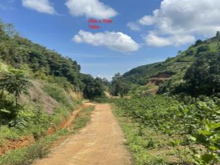 1.000m2 đất mê linh  lâm hà  ven đà lạt chỉ 700tr full giá (bao thuế phí), shr, đường betong lớn