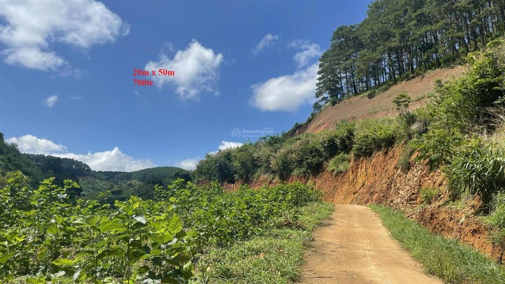 1.000m2 đất mê linh  lâm hà  ven đà lạt chỉ 700tr full giá (bao thuế phí), shr, đường betong lớn