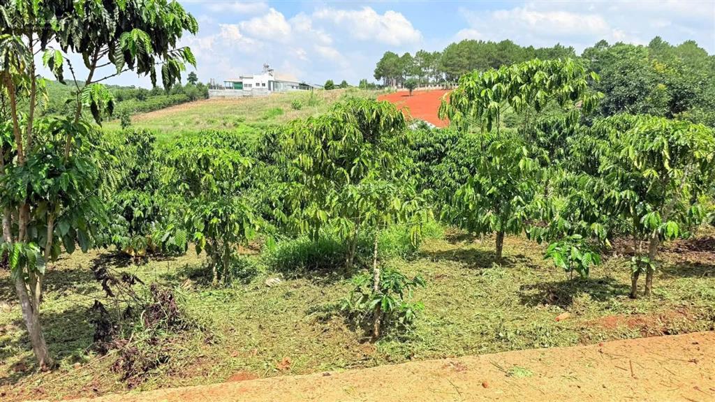 500m2 đất nam ban  ven đà lạt, chỉ 850tr, đường betong lớn, sẵn 100m2 thổ cư, gần trường học, bv