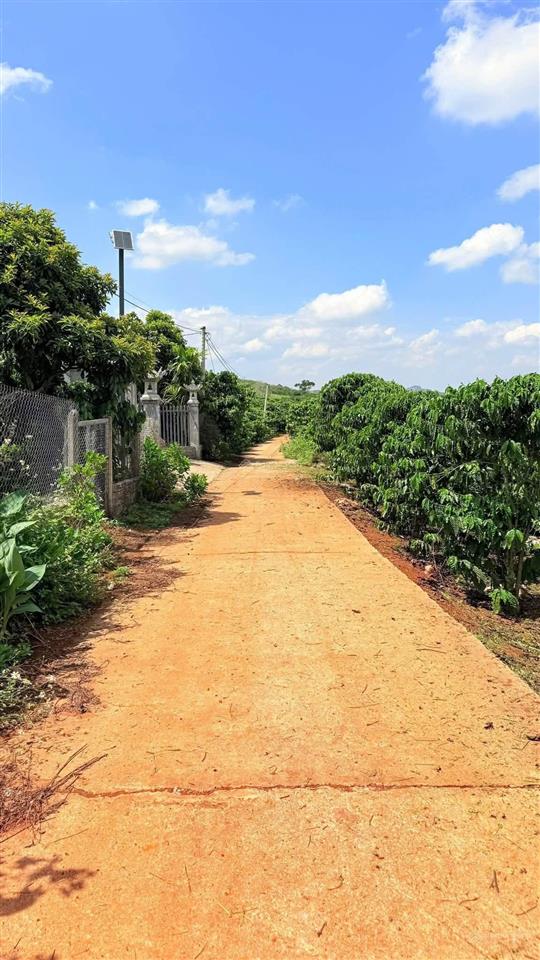 500m2 đất nam ban  ven đà lạt, chỉ 850tr, đường betong lớn, sẵn 100m2 thổ cư, gần trường học, bv