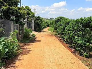 500m2 đất nam ban  ven đà lạt, chỉ 850tr, đường betong lớn, sẵn 100m2 thổ cư, gần trường học, bv
