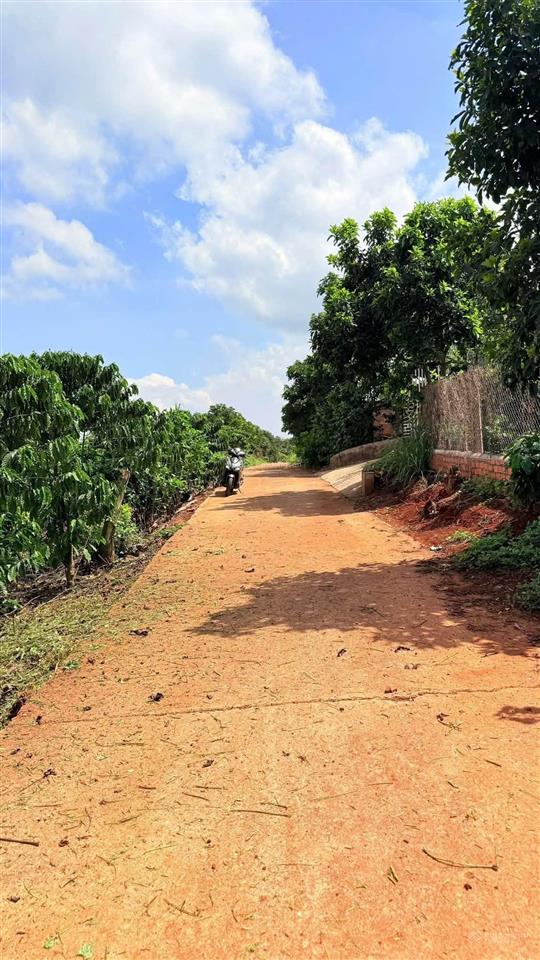 500m2 đất nam ban  ven đà lạt, chỉ 850tr, đường betong lớn, sẵn 100m2 thổ cư, gần trường học, bv