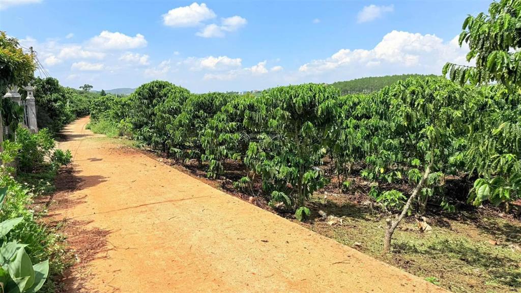 500m2 đất nam ban  ven đà lạt, chỉ 850tr, đường betong lớn, sẵn 100m2 thổ cư, gần trường học, bv