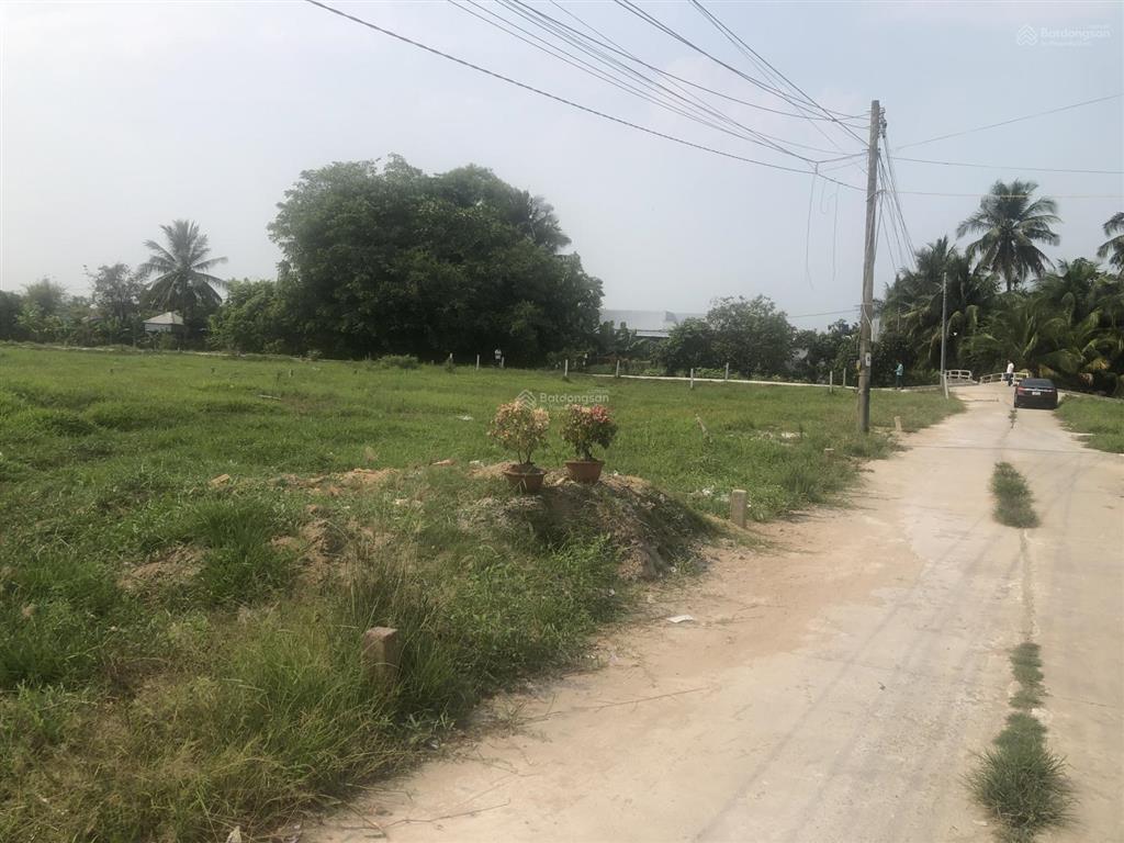 Bán đất đẹp phù hợp gia đình trẻ & đầu tư nhà yến