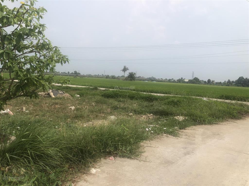 Bán đất đẹp phù hợp gia đình trẻ & đầu tư nhà yến