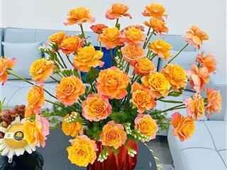 Bán nhà riêng tại nguyễn văn cừ, 3,1 tỷ, 43 m2, quy nhơn, bình định