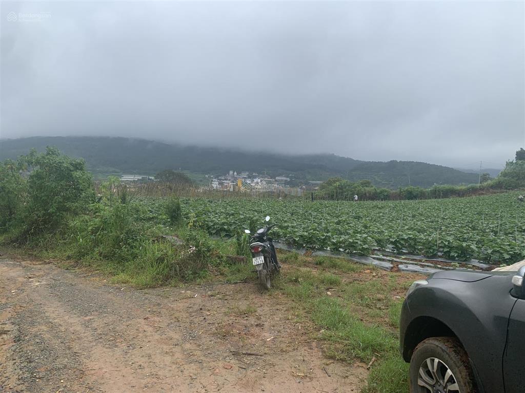 Bán đất view toàn cảnh tthc mới lâm đồng, cách hồ xuân hương đà lạt 20km, giá siêu hời 13 tỷ