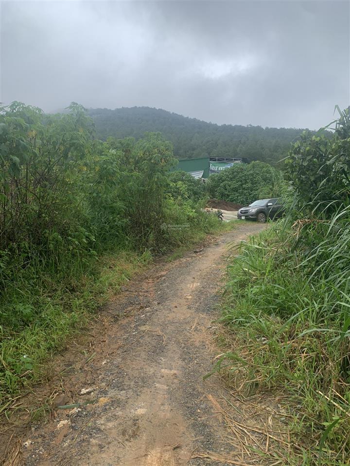 Bán đất view toàn cảnh tthc mới lâm đồng, cách hồ xuân hương đà lạt 20km, giá siêu hời 13 tỷ