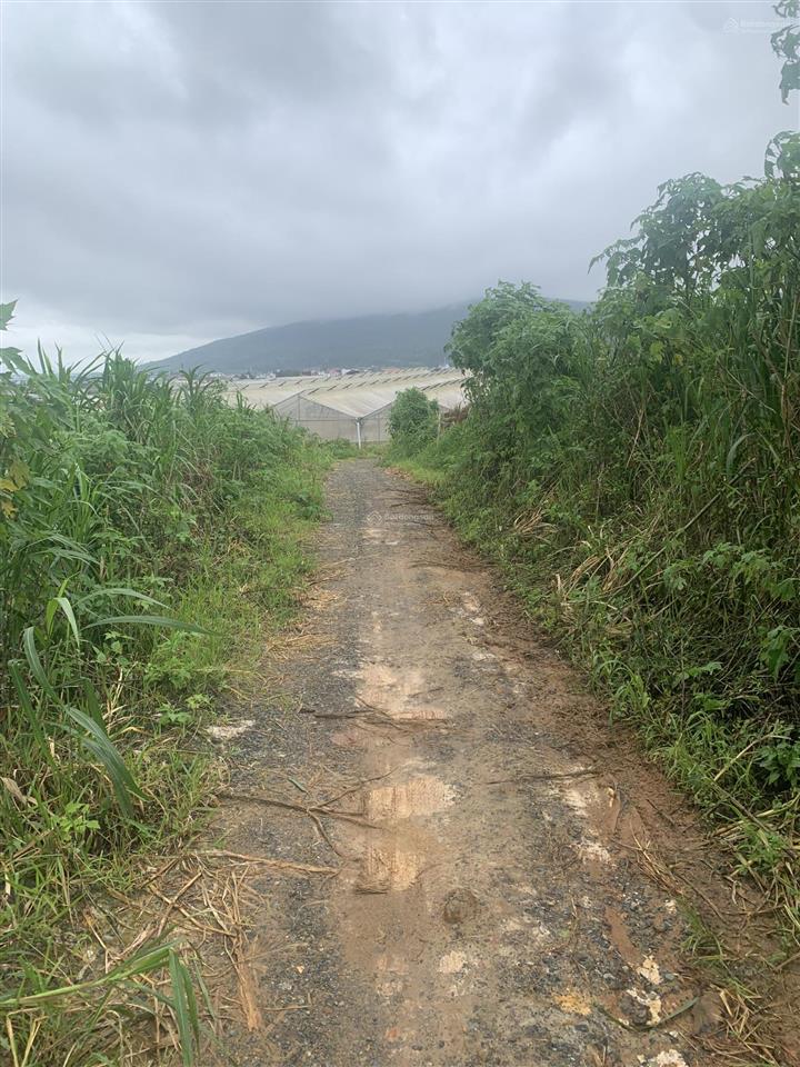 Bán đất view toàn cảnh tthc mới lâm đồng, cách hồ xuân hương đà lạt 20km, giá siêu hời 13 tỷ