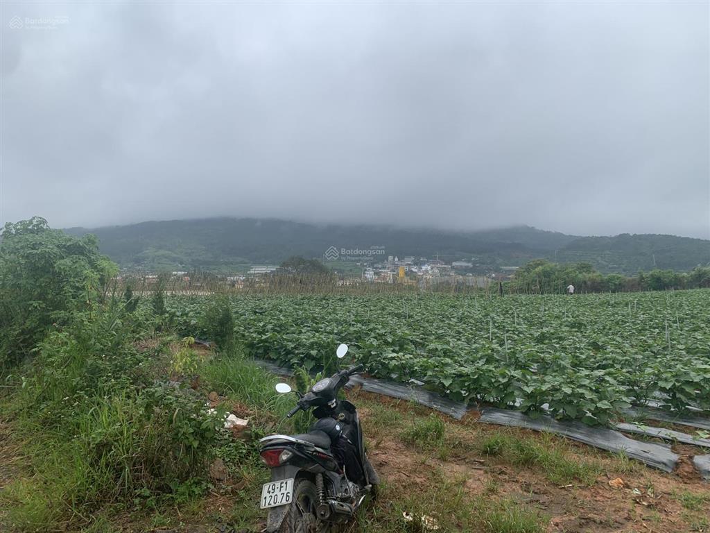 Bán đất view toàn cảnh tthc mới lâm đồng, cách hồ xuân hương đà lạt 20km, giá siêu hời 13 tỷ
