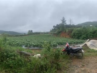 Bán đất view toàn cảnh tthc mới lâm đồng, cách hồ xuân hương đà lạt 20km, giá siêu hời 13 tỷ