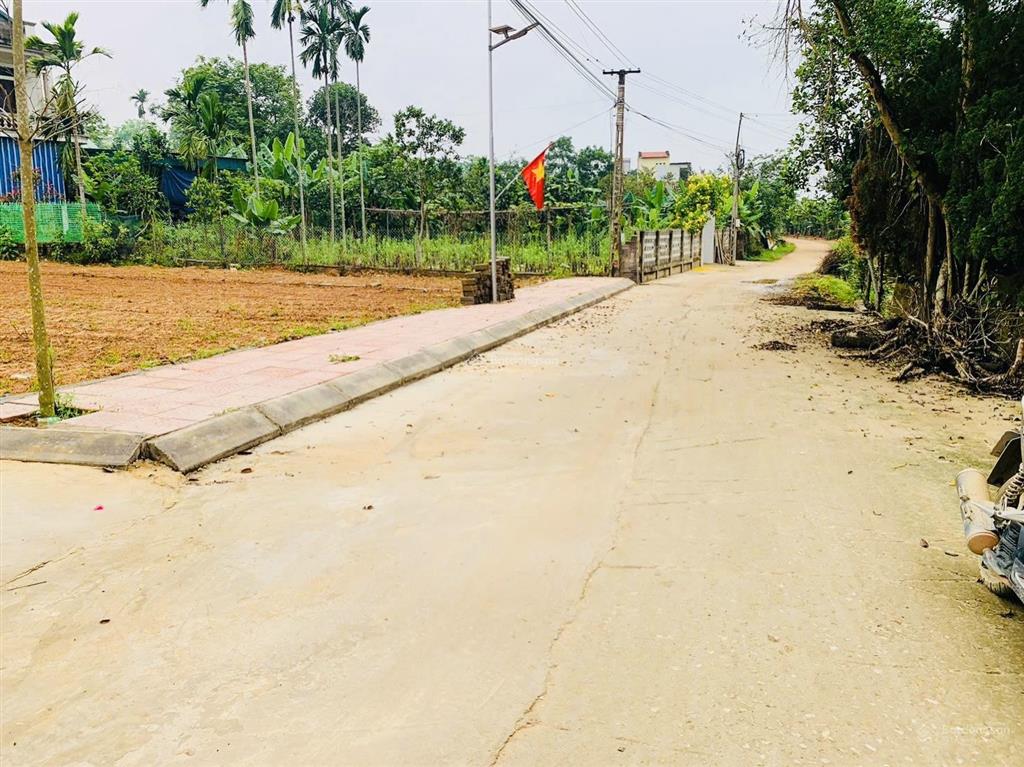 Bán đất đẹp tại xã hợp tiến, huyện triệu sơn, thanh hóa, 199 triệu, 135 m2 full thổ cư