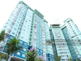 (sổ hồng) cần bán chung cư 8x đầm sen 1pn, 1wc giá chỉ 2,39 tỷ  0909 927 ***