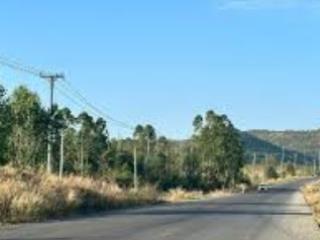 Bán gấp đất nền 160hecta tại quốc lộ 28b, sông bình, bắc bình, giá ưu đãi 55 nghìn / m2