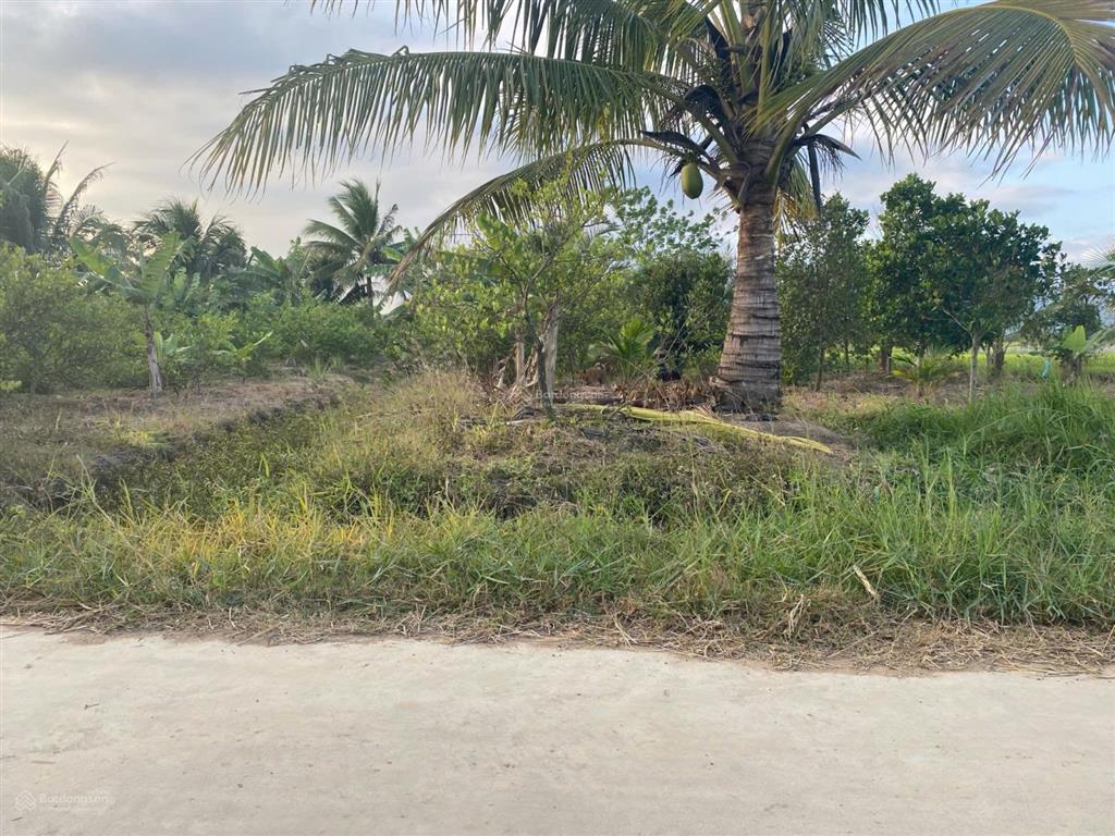 Chỉ 339 triệu sở hữu 251,8m2 có 60m2 thổ cư tại ninh hoà làm farm homestay