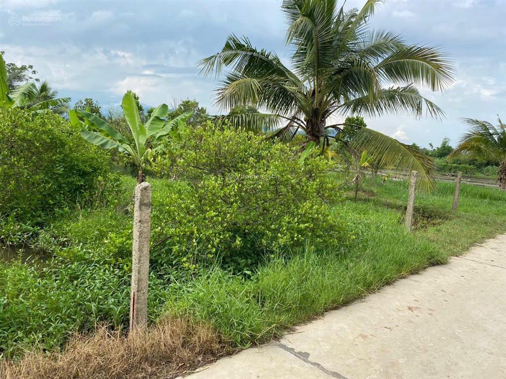 Chỉ 339 triệu sở hữu 251,8m2 có 60m2 thổ cư tại ninh hoà làm farm homestay
