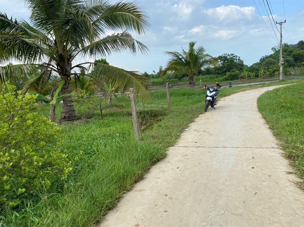 Chỉ 339 triệu sở hữu 251,8m2 có 60m2 thổ cư tại ninh hoà làm farm homestay