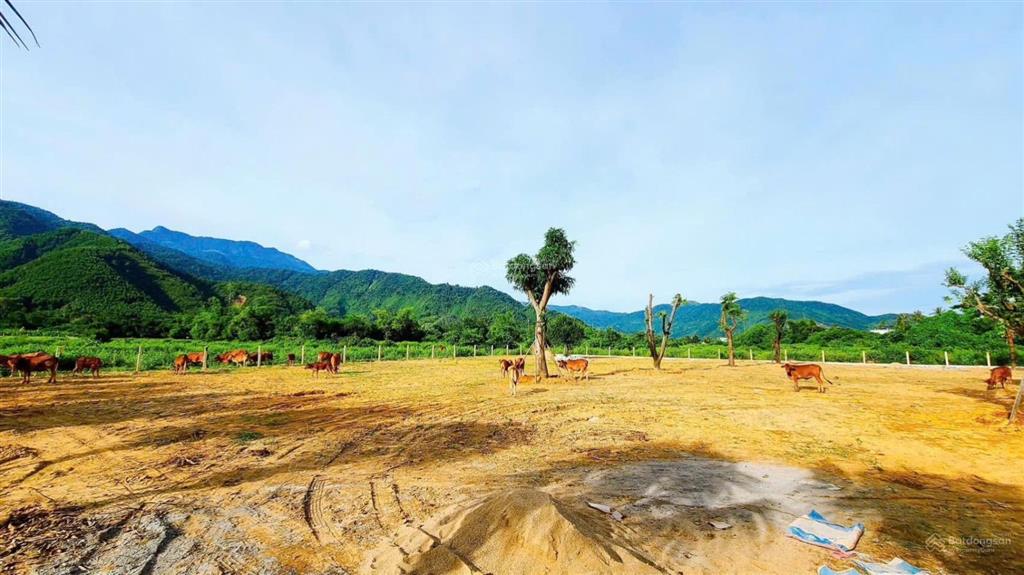 Lô đất vườn hoà phú, hòa vang, 3100m2 có 140m2 đất ở, sát quốc lộ, dân cư đông đúc