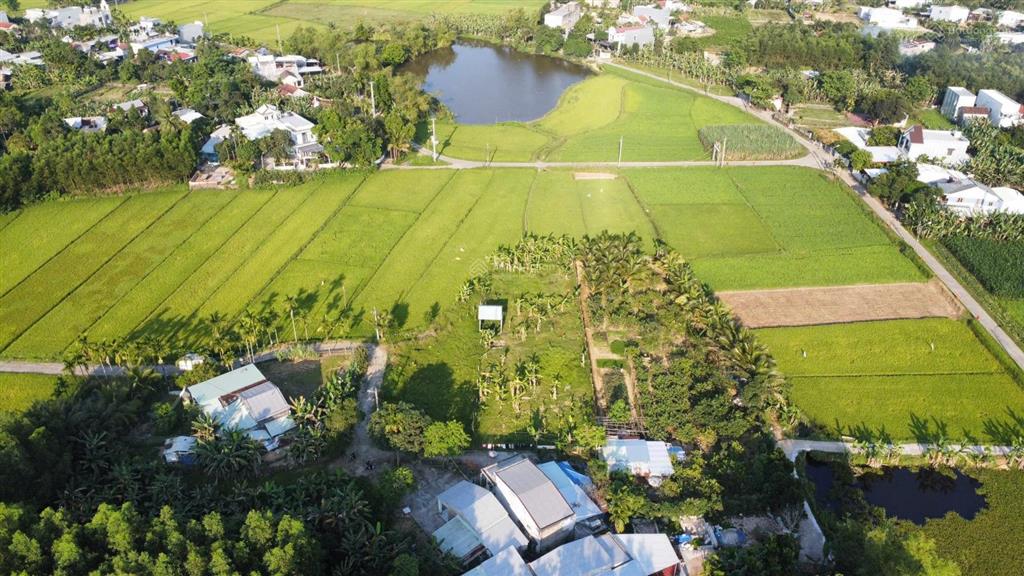 Bán 1000m2 đất trồng cây hoà nhơn, đất vuông vức, đường 3,5m, sát khu dân cư, view cánh đồng mát mẻ