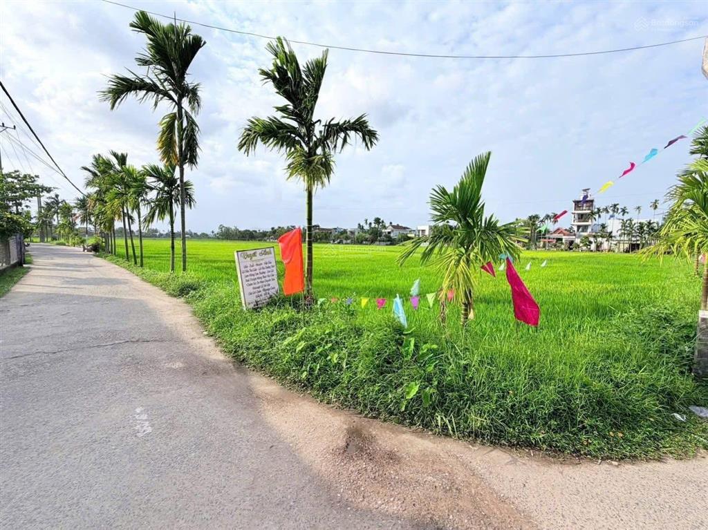 Bán 1000m2 đất trồng cây hoà nhơn, đất vuông vức, đường 3,5m, sát khu dân cư, view cánh đồng mát mẻ