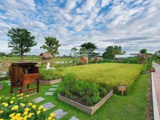 900m đất biêt thự view lúa. vitri ngay trung tam hoà vang. tiện ich đầy đủ.