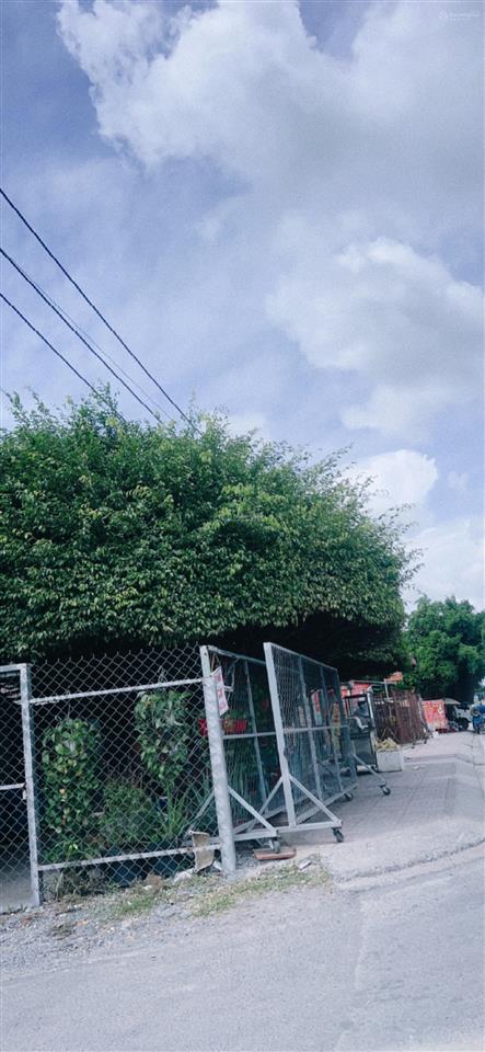Bán đất tại bình mỹ, củ chi, hồ chí minh, giá tốt 19 tỷ, diện tích 1104 m2