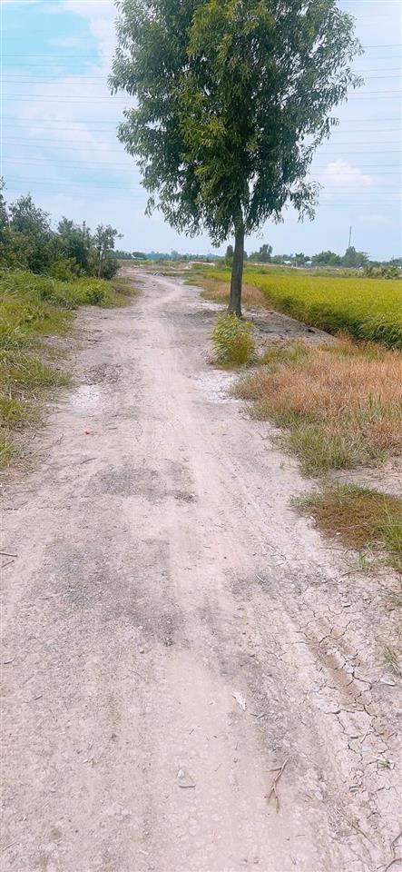 Bán đất 2600m2 tại tân thạnh đông, củ chi, 4,2 tỷ vnd