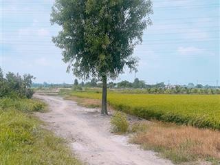 Bán đất 2600m2 tại tân thạnh đông, củ chi, 4,2 tỷ vnd