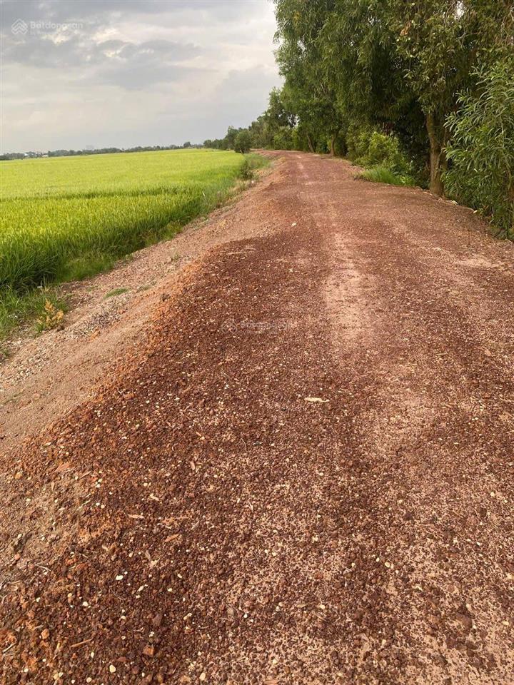 Bán đất tại tân thạnh đông, củ chi, giá ưu đãi 4,5 tỷ, 5000 m2